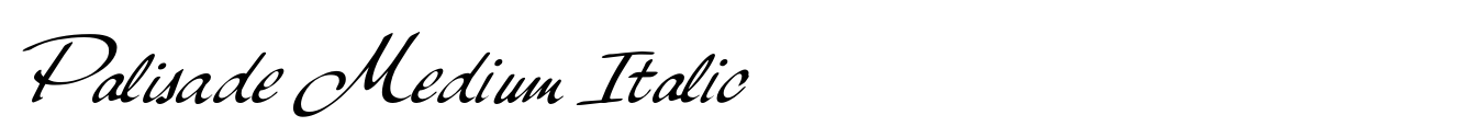 Palisade Medium Italic